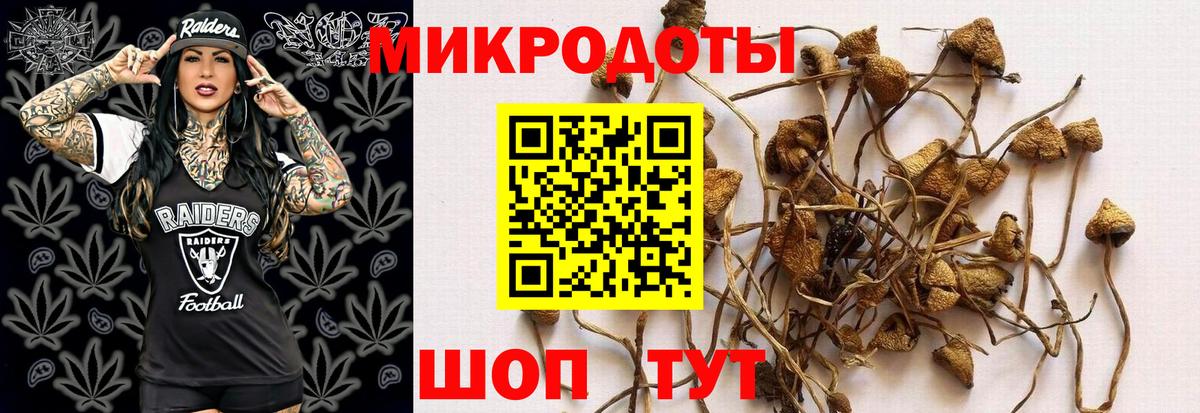 Темрюк  Галлюциногенные грибы мухоморы  Вход с VPN  Псилоцибиновые грибы мухоморы 