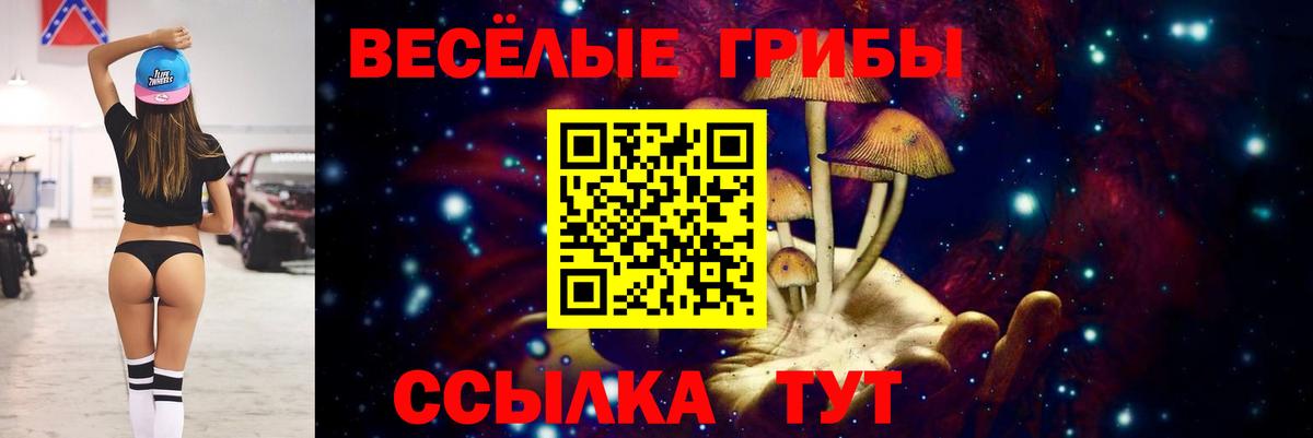 Галлюциногенные грибы Psilocybe Темрюк